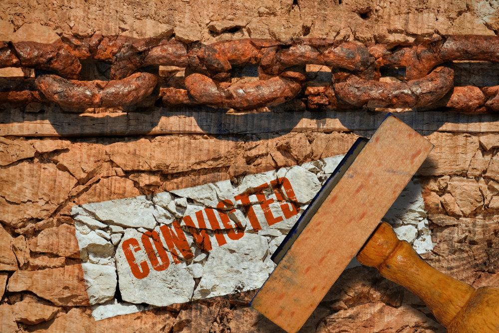 Illinois Conviction Doesn't Mean Forfeiting All Your Rights