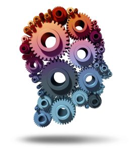 Multiple Studies of the Human Brain