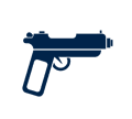 Firearm Concealed Carry Act